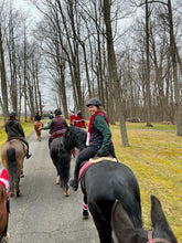 Load image into Gallery viewer, Sunday December 14 at 2pm Bedford, NY