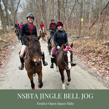 Load image into Gallery viewer, Sunday December 7 at 11am North Salem, NY