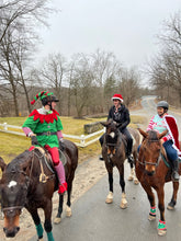 Load image into Gallery viewer, Sunday December 14 at 2pm Bedford, NY