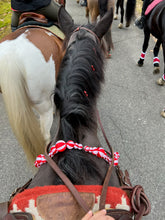 Load image into Gallery viewer, Sunday December 14 at 2pm Bedford, NY
