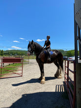 Load image into Gallery viewer, Saturdays in Long Valley, NJ