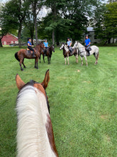 Load image into Gallery viewer, Fridays in Bedford, NY