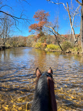 Load image into Gallery viewer, Saturdays in Long Valley, NJ
