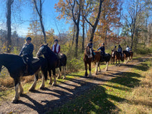 Load image into Gallery viewer, Saturdays in Long Valley, NJ