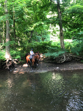 Load image into Gallery viewer, Fridays in Bedford, NY