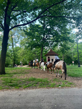 Load image into Gallery viewer, Sundays in Brooklyn, NY