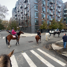 Load image into Gallery viewer, Sundays in Brooklyn, NY