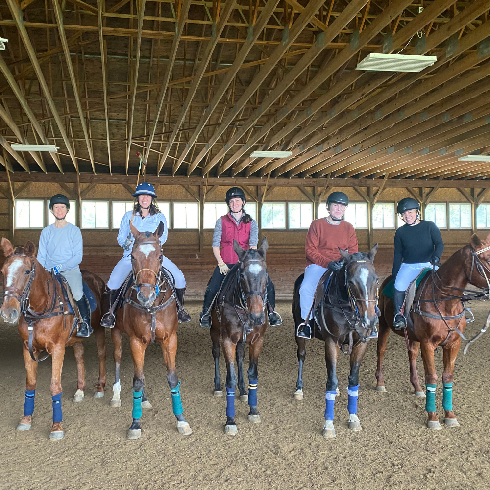Play polo near deals me