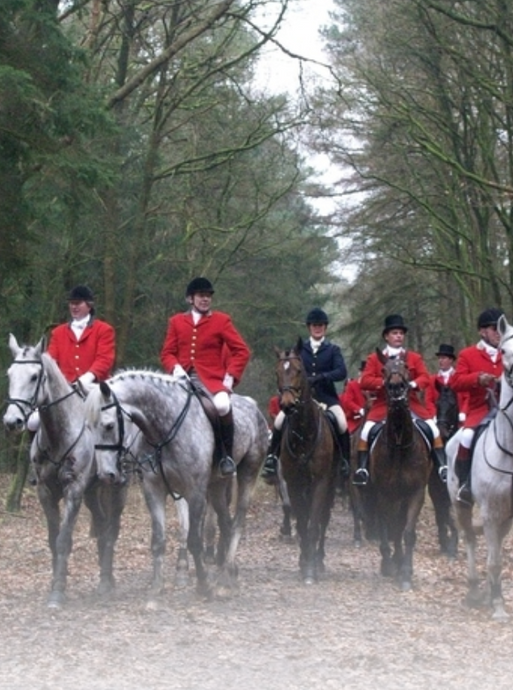 What is Foxhunting?