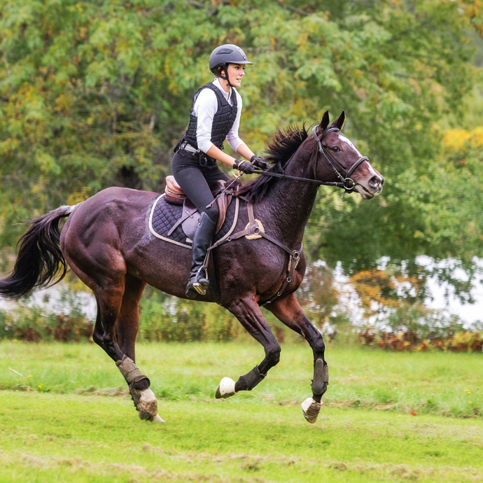 Evaluating Your Horse Riding Ability