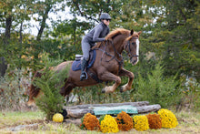 Load image into Gallery viewer, Sunday October 11 at 10am Rhinebeck, NY