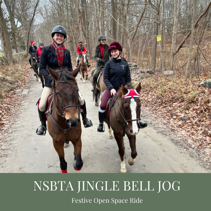 Sunday December 7 at 11am North Salem, NY