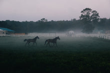 Load image into Gallery viewer, Saturday May 23 at 10am in Monroe, NJ