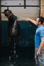 Load image into Gallery viewer, Saturday May 23 at 10am in Monroe, NJ