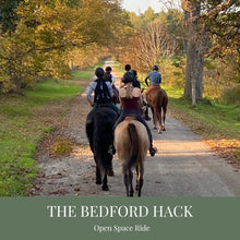 Load image into Gallery viewer, Fridays in Bedford, NY