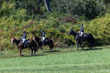 Load image into Gallery viewer, Sunday November 22 at 10am in Vernon, NJ