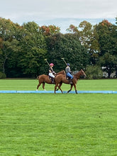 Load image into Gallery viewer, Saturday April 11 in Stanford, NY