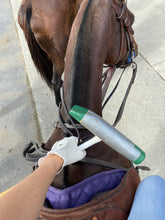 Load image into Gallery viewer, Saturday April 11 in Stanford, NY