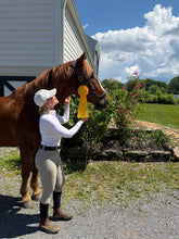 Load image into Gallery viewer, Sunday July 19 in Millbrook, NY