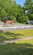 Load image into Gallery viewer, Sunday July 19 in Millbrook, NY