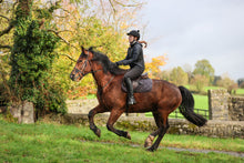 Load image into Gallery viewer, June 7 – June 14, 2026 County Tipperary, Ireland