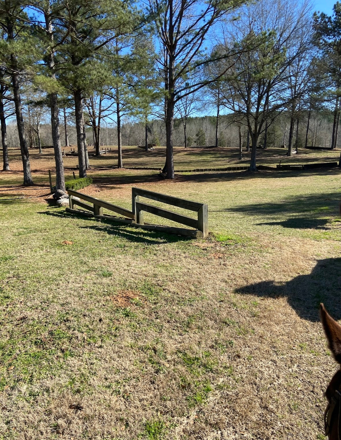 Southern Riding Trip with Manhattan Riding Club