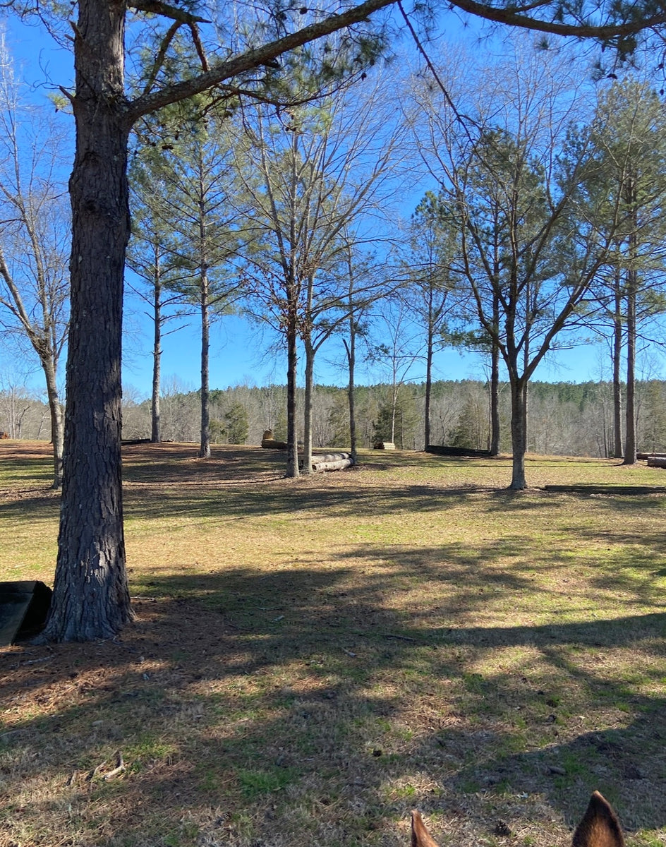 Southern Riding Trip with Manhattan Riding Club