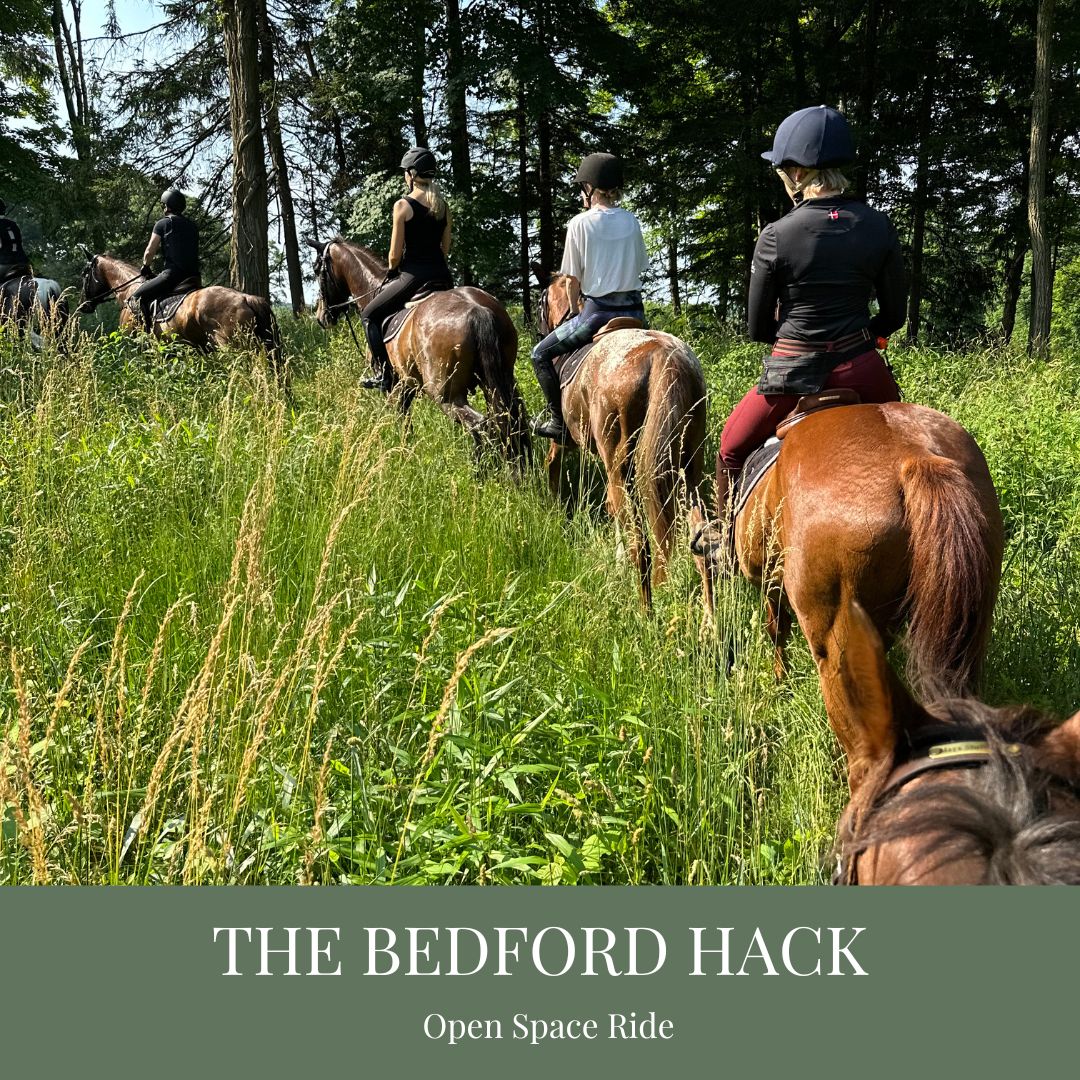 The Bedford Hack at Bedford Riding Lanes – Manhattan Riding Club