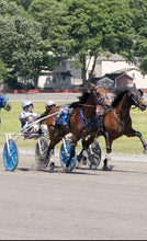 Load image into Gallery viewer, Saturday May 23 at 10am in Monroe, NJ