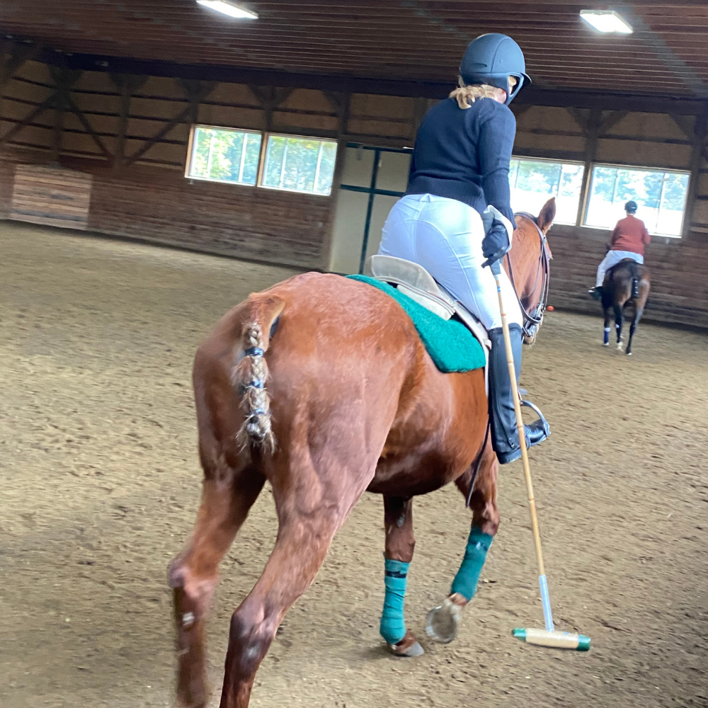 Polo Lessons Package