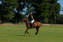 Load image into Gallery viewer, Saturday April 11 in Stanford, NY